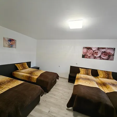 Guest house Avenue House